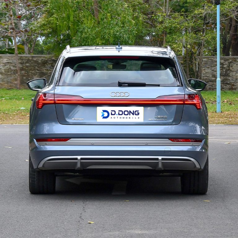 Audi E-Tron-Dead astern