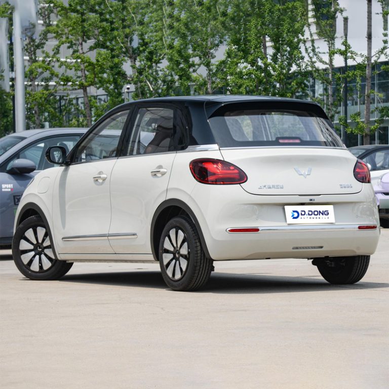 WuLing-BinGuo-Right rear